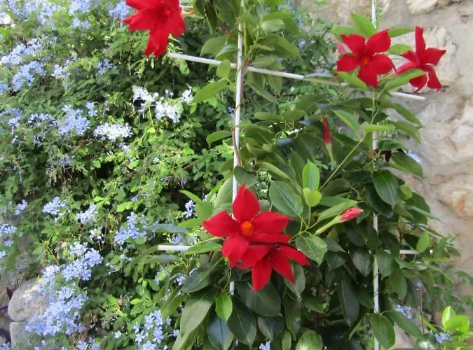 Meridiens Appartement Dubrovnik