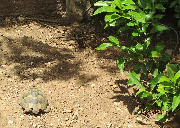 Meridiens Appartement *