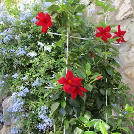 Meridiens Lejlighed Dubrovnik