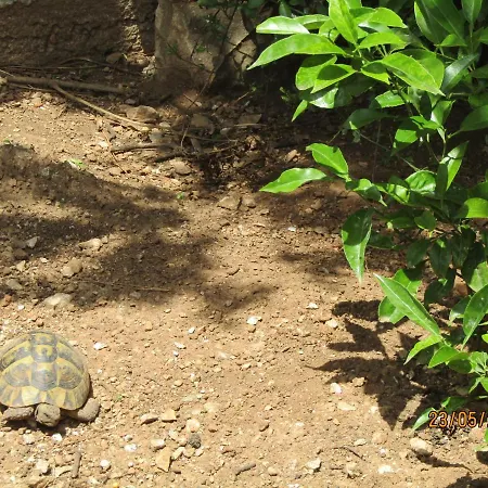 Meridiens Lejlighed *